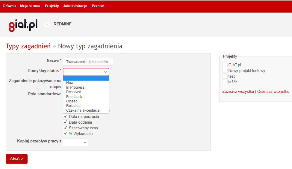 Redmine Typy Zagadnien